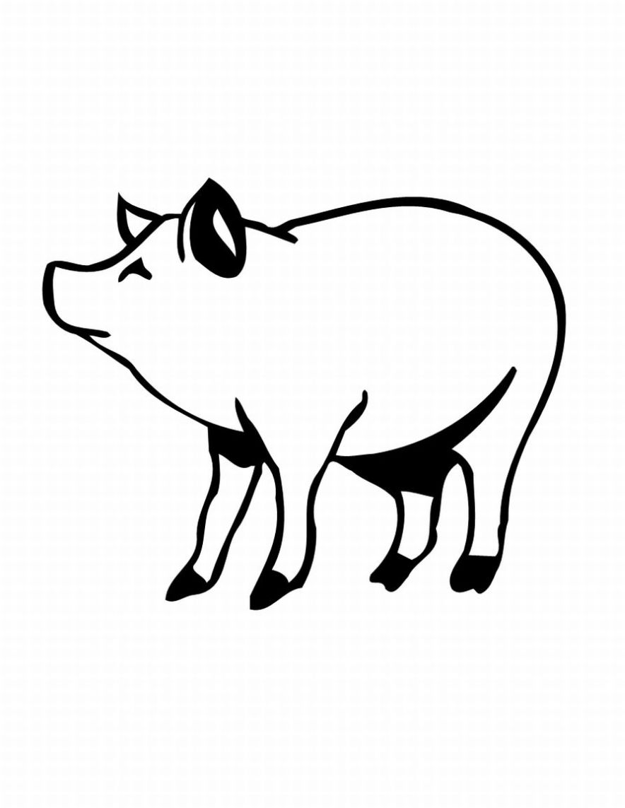 imagini de colorat porc purcel scroafa